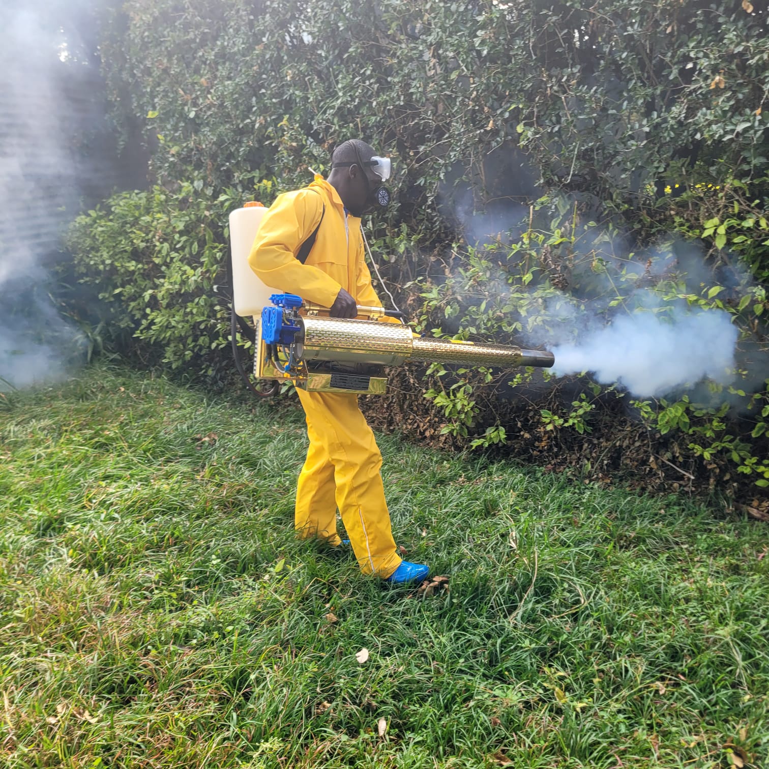 Cleaning Services Right Image