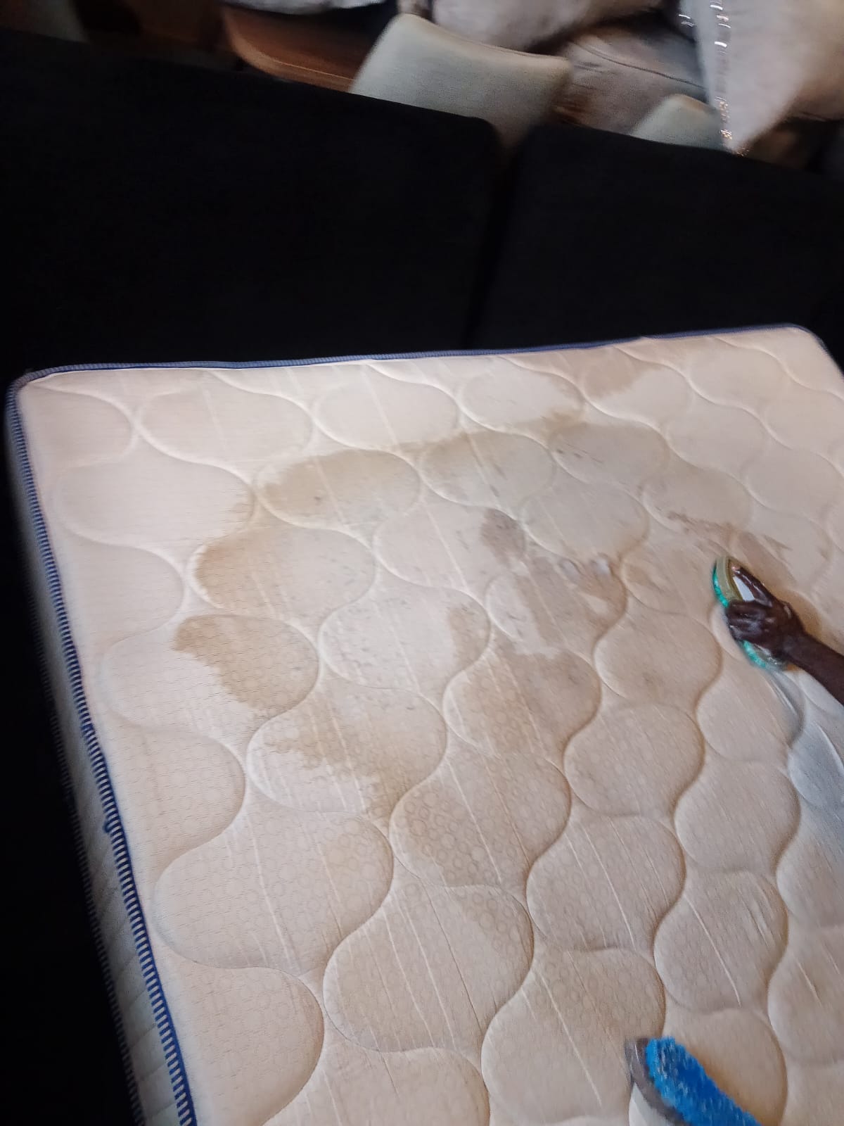 Cleaning Services Right Image